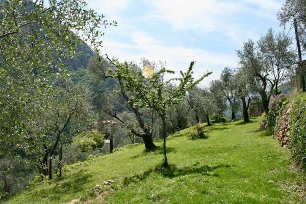 Dpt Alpes Maritimes (06), à vendre Breil sur ROYA Maison 7 pièces sur 1312 m² de terrain belle dégagée sur montagnes