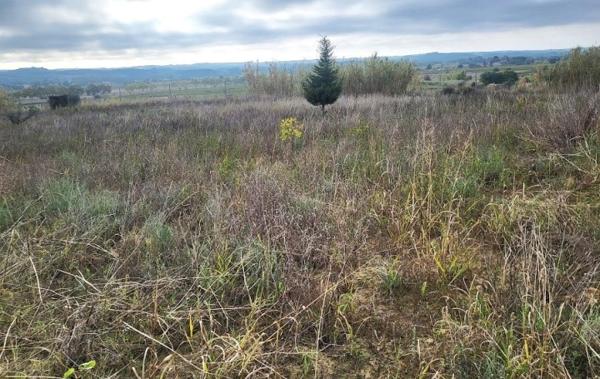 Vente Terrain agricole non constructible Paulhan   