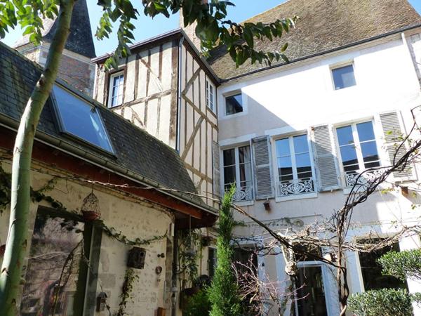 VENTE À TERME OCCUPÉE MAISON D'ARTISTE CHATILLON SUR LOIRE