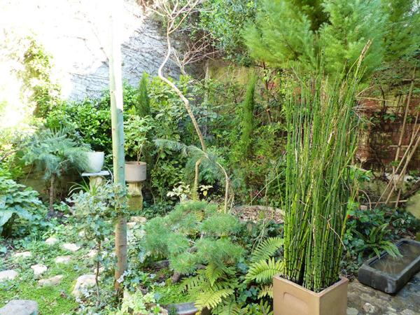 VENTE À TERME OCCUPÉE MAISON D'ARTISTE CHATILLON SUR LOIRE