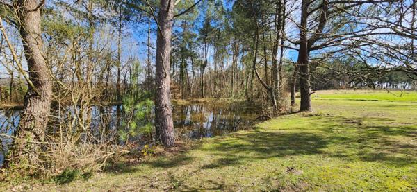 Maison en pierres de plain-pied avec étang et piscine dans un environnement boisé exceptionnel !