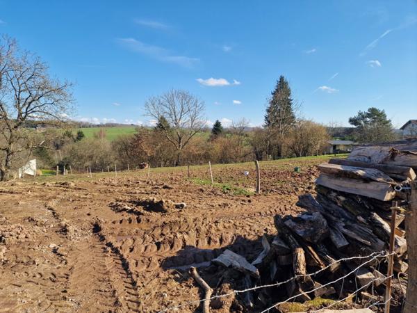 Proche de XERTIGNY (88) Propriete à vendre MAISON 4 pièces (env. 140 m2) + GARAGE AUTOMOBILES de 900 m2 / TERRAIN 7500 m2 env.