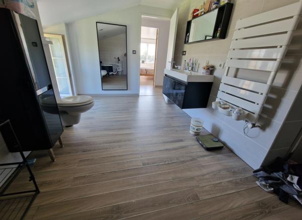 Proche de XERTIGNY (88) Propriete à vendre MAISON 4 pièces (env. 140 m2) + GARAGE AUTOMOBILES de 900 m2 / TERRAIN 7500 m2 env.