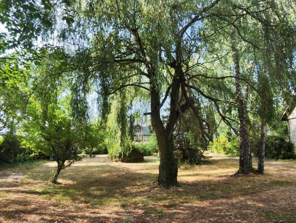 Sur plus de 3 ha de terrain, agréable maison avec dépendances