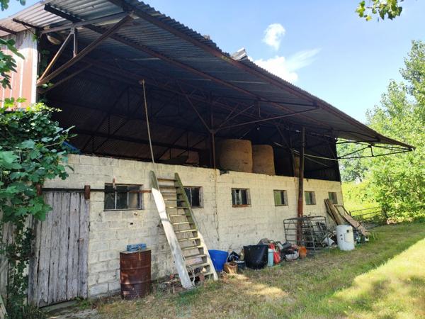 Sur plus de 3 ha de terrain, agréable maison avec dépendances