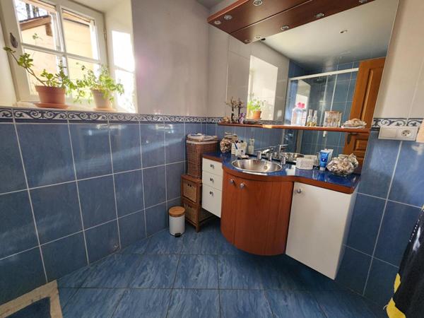 Maison Saint Jean Saint Germain 10 pièce(s) 376 m2