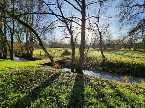 Maison Saint Jean Saint Germain 10 pièce(s) 376 m2