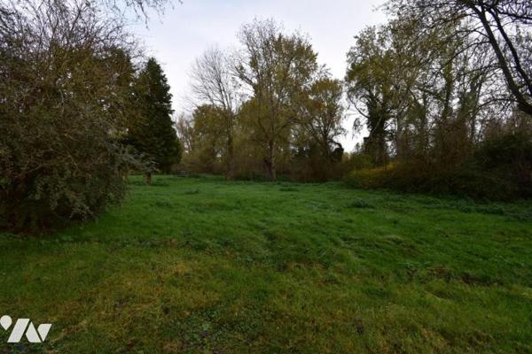 UN ENSEMBLE DE TERRAIN ET DE BOIS  AVEC ETANG , CHALET DE DETENTE ET HUTTE DE CHASSE  ENVIRON 12 Ha