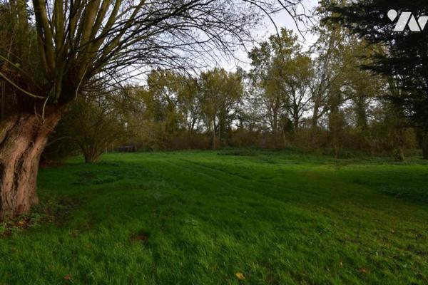 UN ENSEMBLE DE TERRAIN ET DE BOIS  AVEC ETANG , CHALET DE DETENTE ET HUTTE DE CHASSE  ENVIRON 12 Ha