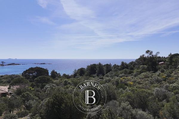 Porto-Vecchio, Terrain   à vendre