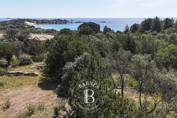 Porto-Vecchio, Terrain   à vendre