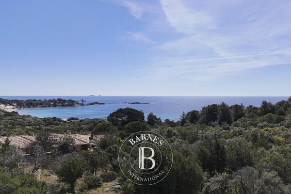 Porto-Vecchio, Terrain   à vendre
