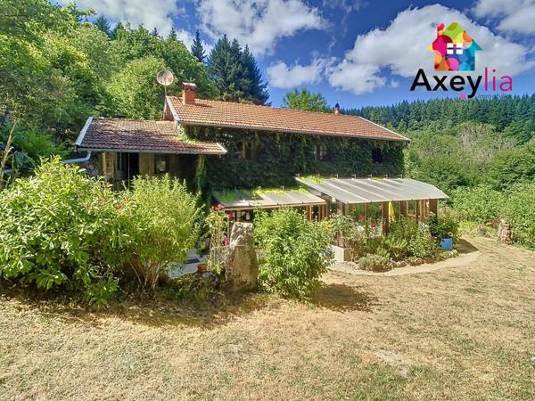 Saint-Rirand (42370) A VENDRE- SAINT-RIRAND- MAISON EN PIERRE SUR TERRAIN DE 7500 M2