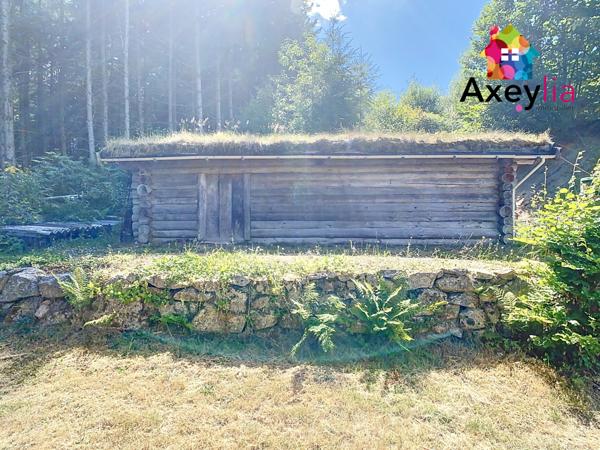 Saint-Rirand (42370) A VENDRE- SAINT-RIRAND- MAISON EN PIERRE SUR TERRAIN DE 7500 M2