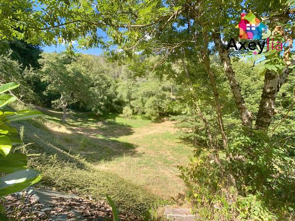 Saint-Rirand (42370) A VENDRE- SAINT-RIRAND- MAISON EN PIERRE SUR TERRAIN DE 7500 M2