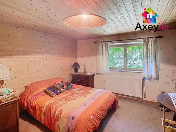 Saint-Rirand (42370) A VENDRE- SAINT-RIRAND- MAISON EN PIERRE SUR TERRAIN DE 7500 M2