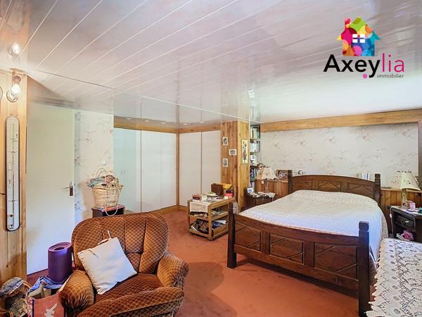 Saint-Rirand (42370) A VENDRE- SAINT-RIRAND- MAISON EN PIERRE SUR TERRAIN DE 7500 M2