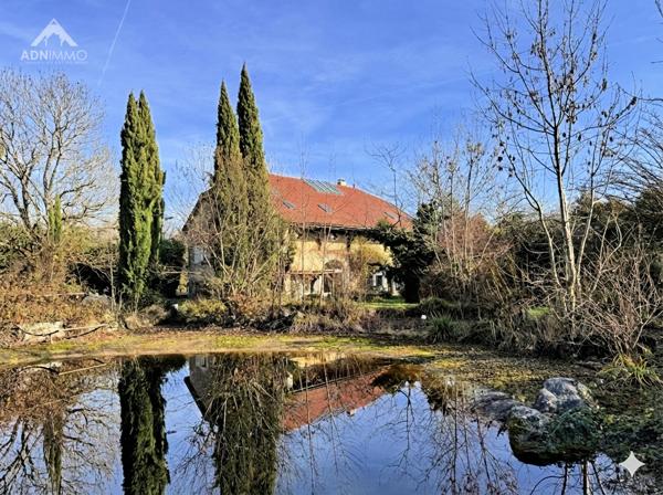 Chevry (01170) Ferme Gessienne 10 Pièces 455 m2