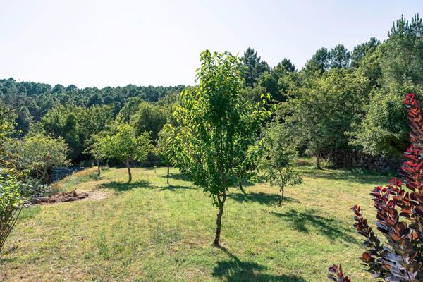 07460 : Maison Pierre avec Piscine sur 3000m2 de terrain