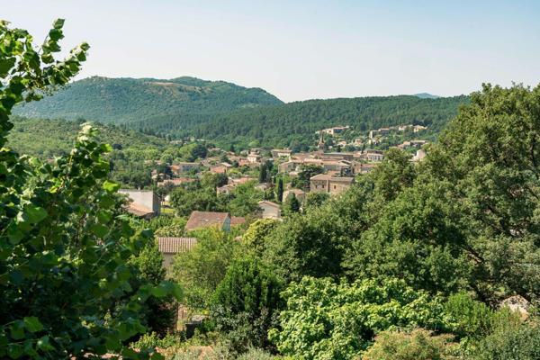 07460 : Maison Pierre avec Piscine sur 3000m2 de terrain