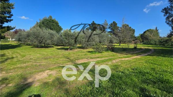 DOMAINE 2 HABITATIONS SUR 5 HECTARES DE TERRAIN