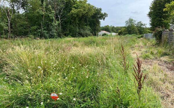 Terrain à vendre    Étaules