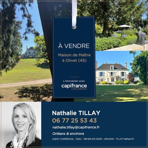 Propriété, à vendre OLIVET proche Orléans , EXCEPTIONNELLE, 1h du péage Paris St Arnoult, piscine , parc et Bord du Loiret