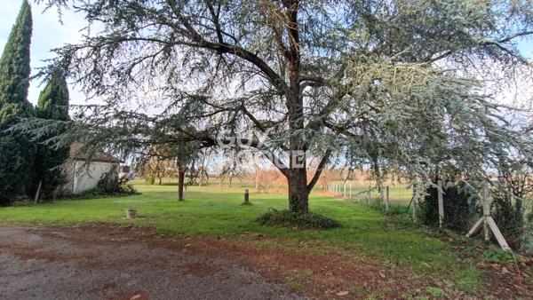 Entre Marmande et Casteljaloux