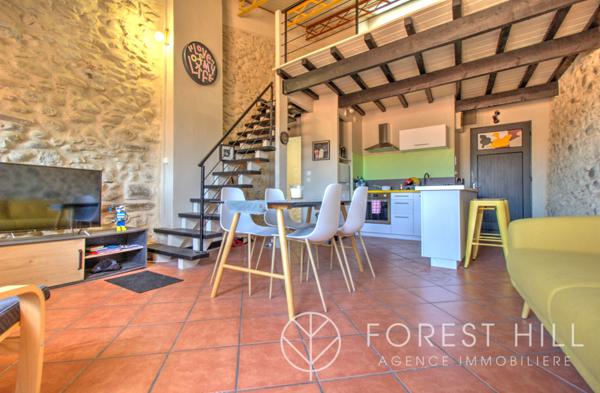 Céret (66400) Loft alliant charme de la pierre et luminosité