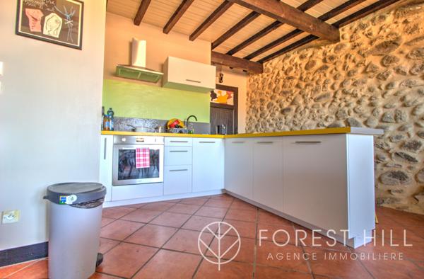 Céret (66400) Loft alliant charme de la pierre et luminosité