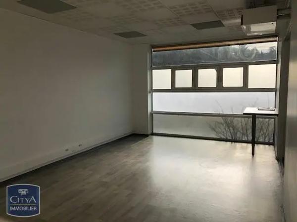 Location local professionnel