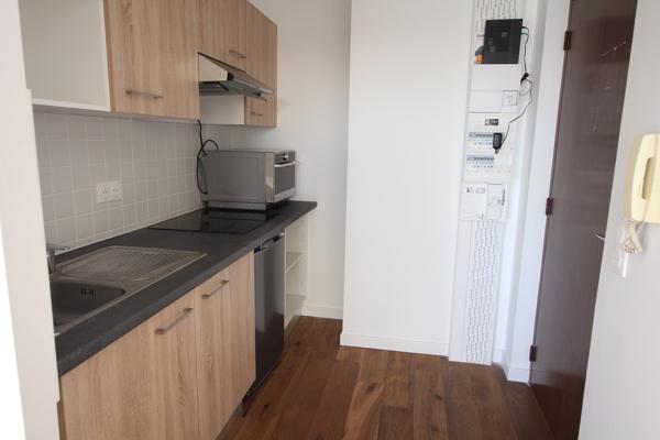Appartement  T1 avec terrasse loué Meublé avec cave et parking