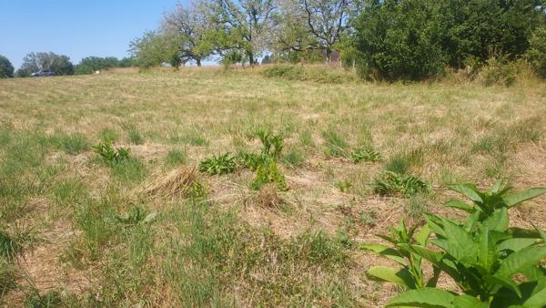 Terrain à vendre de 979,00 m² MASCLAT (46)
