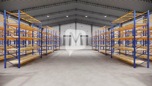 DPT GUYANE, à louer CAYENNE entrepôt de 1 050 m²