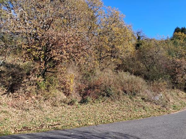Vente Terrain 651 m2 à La Canourgue