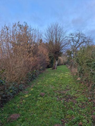 Maison 5 pièces COLONDANNES (23)