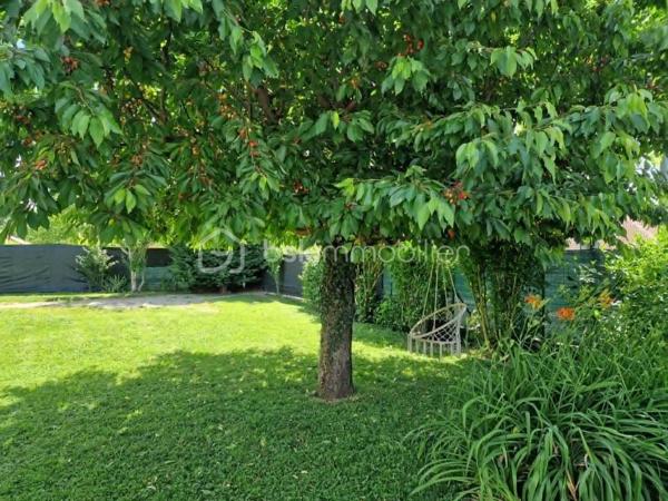 À 5 minutes de La Tour-du-Pin, sur les hauteurs et dans un environnement calme, découvrez cette maison de plain-pied offrant de beaux volumes et un cadre de vie agréable.

Elle se compose de 5 chambres, d’une belle pièce de vie lumineuse avec cuisine ouverte, d’une salle de bains ainsi que d’un WC indépendant.

Implantée sur un terrain de 936 m² entièrement clos et arboré, elle bénéficie d’un extérieur agréable, idéal pour profiter des beaux jours en toute tranquillité.

Le ramassage scolaire se situe à seulement 5 minutes à pied.Proche de toutes commodités.

Côté confort, le chauffage est assuré par un poêle à granulés complété par des radiateurs électriques.