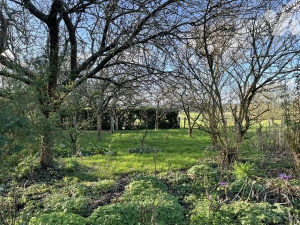 MAISON ANCIENNE AVEC TRAVAUX - VUE SUR LA CAMPAGNE