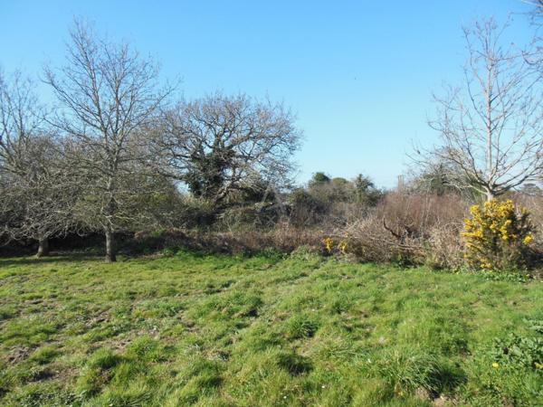 Terrain 2300 m² à aménager