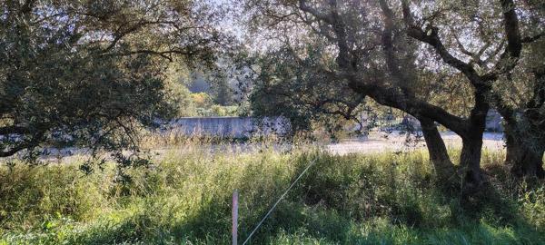 Roquevaire (13360) ROQUEVAIRE – Route du Stade – Terrain 911 m² – Projet habitation & bureaux