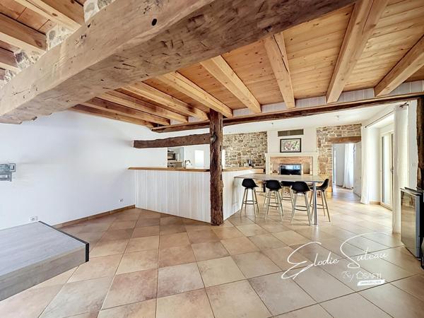 6min Le Lion d'Angers Maison ancienne 209m2