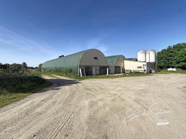 6min Le Lion d'Angers Maison ancienne 209m2