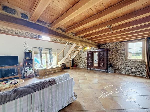 6min Le Lion d'Angers Maison ancienne 209m2