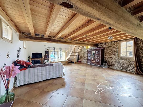 6min Le Lion d'Angers Maison ancienne 209m2