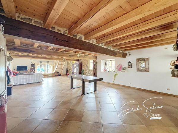 6min Le Lion d'Angers Maison ancienne 209m2