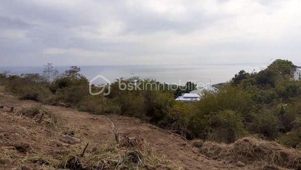 Terrain de 2 700 m²