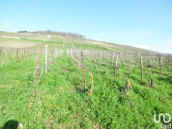 Terrain à vendre 1 870 m² Châtillon-sur-Marne