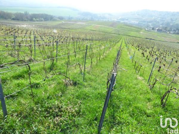 Terrain à vendre 1 870 m² Châtillon-sur-Marne