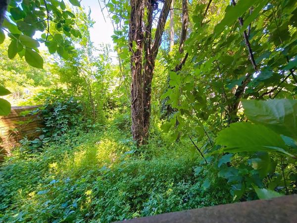 Le Bousquet d'Orb – Ensemble immobilier de 235 m² à rénover avec extérieur