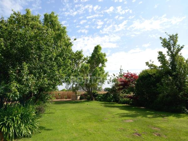 MAISON EN PIERRE RENOVEE PLOUGUIEL (22)